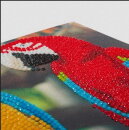 Craft Buddy CCK-A76 - Crystal Card Kit Parrot Friends