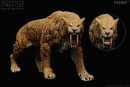 REBOR 160864 - 1:11±1 Smilodon populator Museum Class...