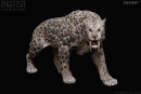 REBOR 160871 - 1:11±1 Smilodon populator Museum Class Replica Deluxe Pack "Stray Cat" Ice Age *1