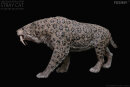 REBOR 160871 - 1:11±1 Smilodon populator Museum Class Replica Deluxe Pack "Stray Cat" Ice Age *1