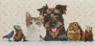 Craft Buddy CCK-11x22C6 - Crystal Card Kit Animal Family