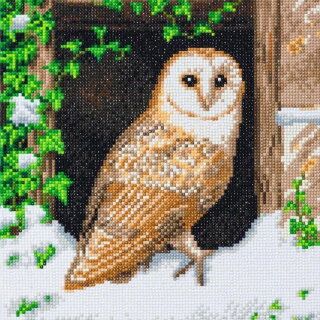 Craft Buddy CAK-A121M - Framed Crystal Art Kit - Snowy Owl