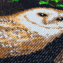 Craft Buddy CAK-A121M - Framed Crystal Art Kit - Snowy Owl