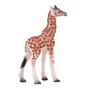 Mojö 381034 - Giraffe Calf