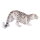 Mojö 387243 - Snow Leopard