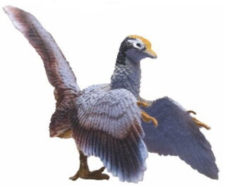 PNSO 1017EN - Jonas the Archaeopteryx
