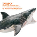 PNSO 015ZH - Patton The Megalodon