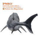PNSO 015ZH - Patton The Megalodon