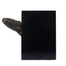 PNSO 1003ZH - Dayong the  Yangchuanosaurus 1:10 Head Portrait (Book Stop)