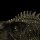 PNSO 1003ZH - Dayong the  Yangchuanosaurus 1:10 Head Portrait (Book Stop)