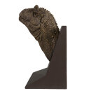 PNSO 1005ZH - Domingo the  Carnotaurus 1:10 Head Portrait (Book Stop)