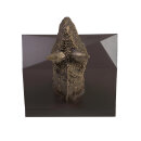 PNSO 1005ZH - Domingo the  Carnotaurus 1:10 Head Portrait (Book Stop)