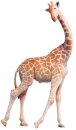 PNSO 1006ZH - Pemba the Giraffe