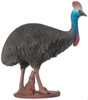PNSO 1038ZH - Faithe the Southern Cassowary