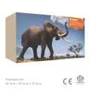 PNSO 2001ZH - Mamman the African Elephant