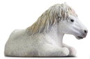 PNSO 1007ZH - A-Wu The Horse