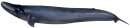 PNSO 2002ZH - Alex The Blue Whale 1:35 Sculpture