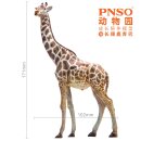 PNSO Set 2016ZH - Bumba the Giraffe