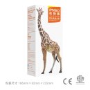 PNSO Set 2016ZH - Bumba the Giraffe