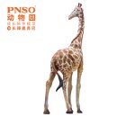 PNSO Set 2016ZH - Bumba the Giraffe