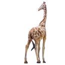 PNSO Set 2016ZH - Bumba the Giraffe
