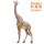 PNSO Set 2016ZH - Bumba the Giraffe