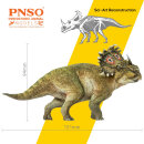 PNSO 040ZH - A-Qi the Sinoceratops