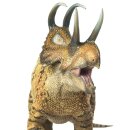 PNSO 041ZH - Perez the Machairoceratops