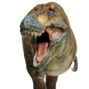 PNSO 1009ZH - Wilson the Tyrannosaurus rex