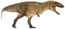 PNSO 50ZH - Gamba The Carcharodontosaurus