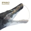 PNSO 2001ZH - Jeff the Kronosaurus