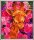 Craft Buddy CAM-26 - Crystal Art Picture Frame Set - Giraffe mit Blumen