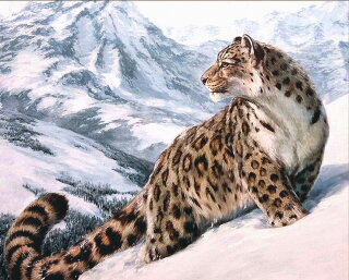 Artibalta AZ-1520 - Diamond Painting Kit Snow Leopard