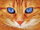Artibalta AZ-1716 - Diamond Painting Kit Katze mit blauen Augen