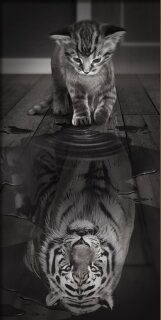 Artibalta AZ-1771 - Diamond Painting Kit Tiger Inside