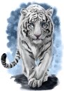 Wizardi WD2513 - Diamond Painting Kit Weisser Tiger