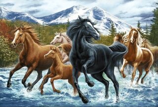 Wizardi WD2499 - Diamond Painting Kit Pferdeherde in den Bergen