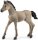 Schleich 13949 - Criollo Definitivo Foal