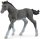 Schleich 13944 - Trakehner Foal