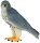 Mojö 381056 - Wanderfalke