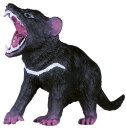 Mojö 381058 - Tasmanischer Teufel (Beutelteufel)