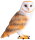 Mojö 381054 - Barn Owl