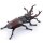 Papo 50281 - European Stag Beetle