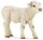 Papo 51157 - Charolais Kalb