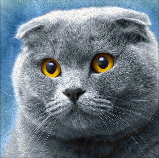 Artibalta AZ-1619 - Diamond Painting Kit Cat