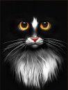 Artibalta AZ-1899 - Diamond Painting Kit Black Cat