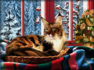 Artibalta AZ-1695 - Diamond Painting Kit Maine Coon at the Window