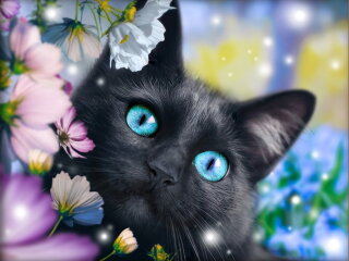Artibalta AZ-1900 - Diamond Painting Kit Black Cat in the Flowers