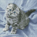 Artibalta AZ-1465 - Diamond Painting Kit Kitten