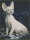 Artibalta AZ-1456 - Diamond Painting Kit Sphynx